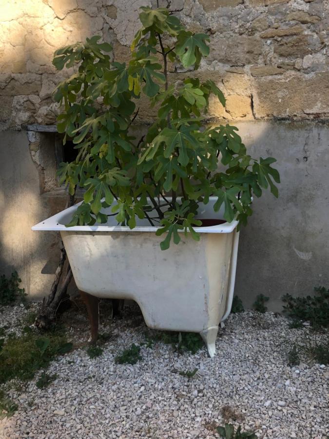 شقة Havre De Paix En Provence Lauris المظهر الخارجي الصورة